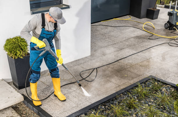 Best Roof Power Washing Services  in Ocklawaha, FL