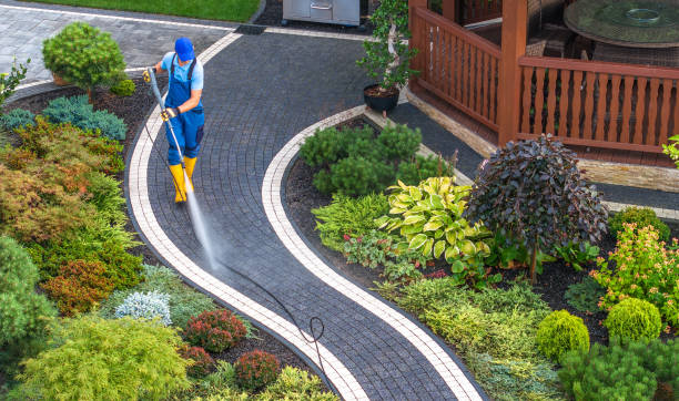 Best Fence Pressure Washing  in Ocklawaha, FL